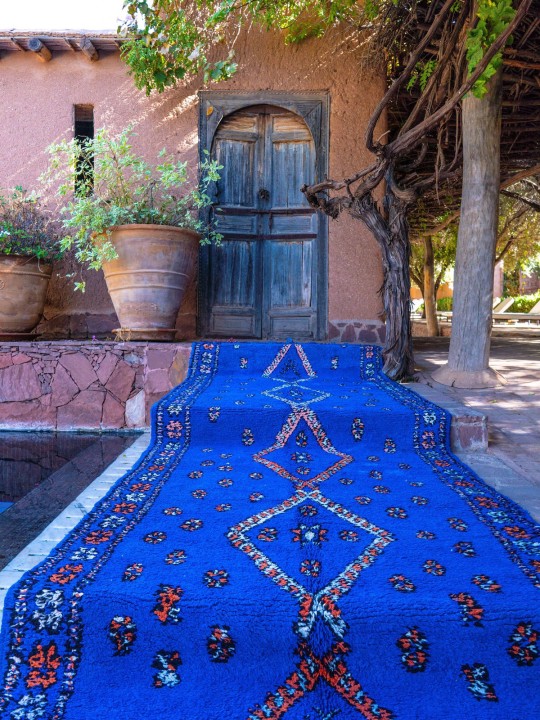 Rugs I Didn’t Buy So You Should Vol. 15
