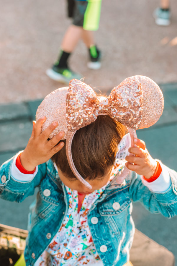 Animal Kingdom with Toddlers