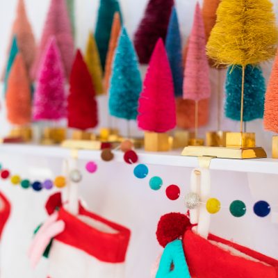 Where To Buy Rainbow Bottle Brush Trees