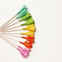 DIY Food Picks