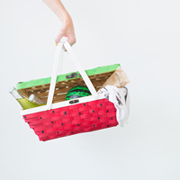 DIY Watermelon Picnic Basket
