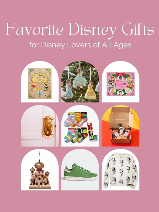 The Coolest Gifts for Disney Lovers