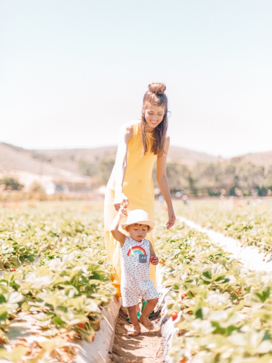 Family Day: Strawberry Picking!